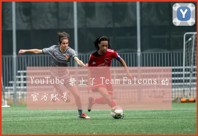 YouTube 禁止了 Team Falcons 的官方账号