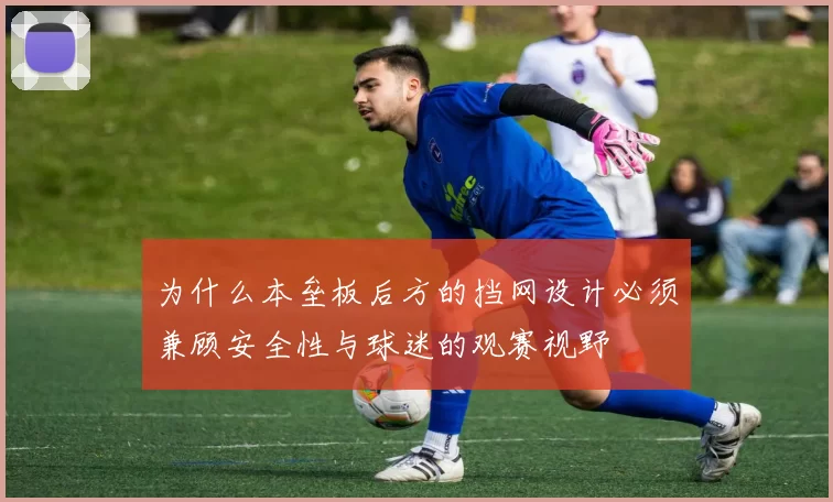 为什么本垒板后方的挡网设计必须兼顾安全性与球迷的观赛视野