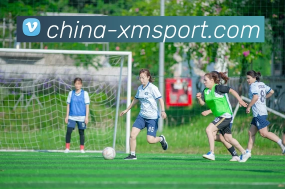 熊猫体育平台生态图